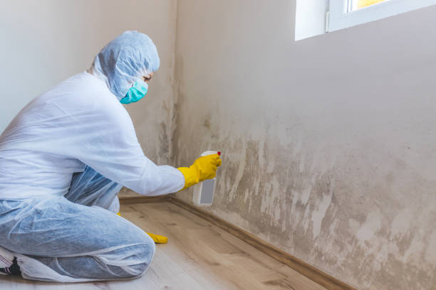 Mold inspector in Brightwaters performing thermal imaging