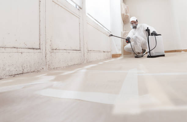 Post-remediation clearance in Brightwaters